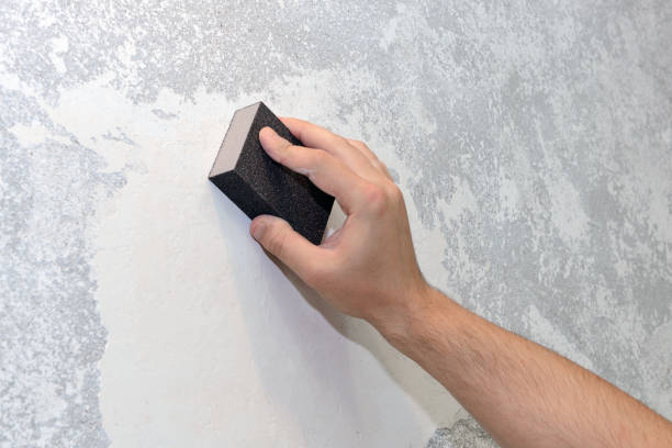Best Post-Construction Mold Inspection  in Barrington Hls, IL