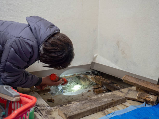 Best Residential Mold Inspection & Testing  in Barrington Hls, IL
