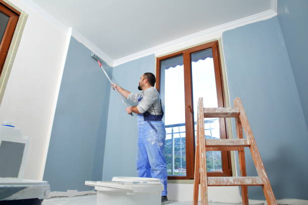 Best Dehumidification Services  in Barrington Hls, IL