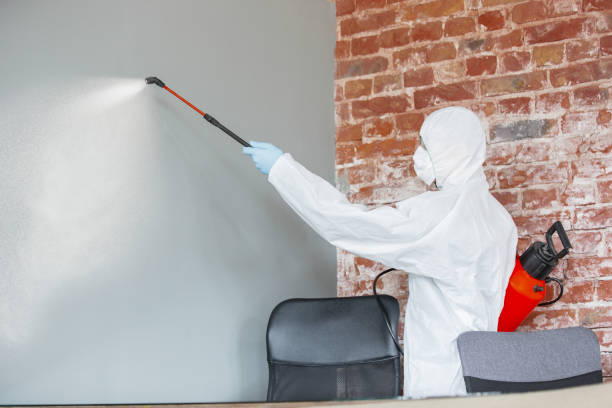 Best Crawl Space Mold Remediation  in Barrington Hls, IL