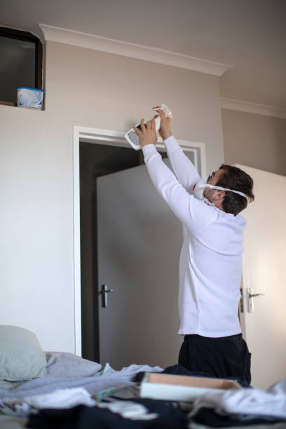 Best Real Estate Mold Inspection  in Barrington Hls, IL
