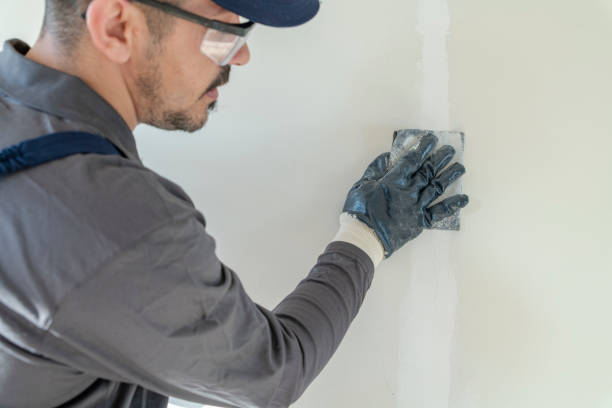 Best Black Mold Removal  in Barrington Hls, IL