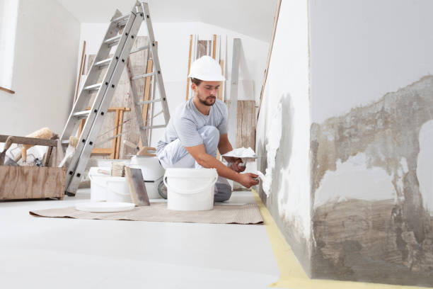 Best Biohazard Mold Removal  in Barrington Hls, IL