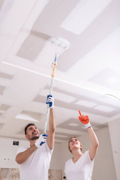 Reliable Barrington Hills, IL Mold Removal Solutions