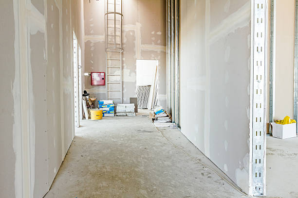 Best Airborne Mold Testing  in Barrington Hls, IL