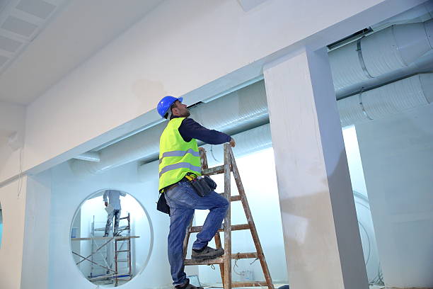 Best Basement Mold Removal  in Barrington Hls, IL